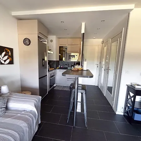 Cozy Studio, Terrace Near Beaches, Cannes * Mandelieu